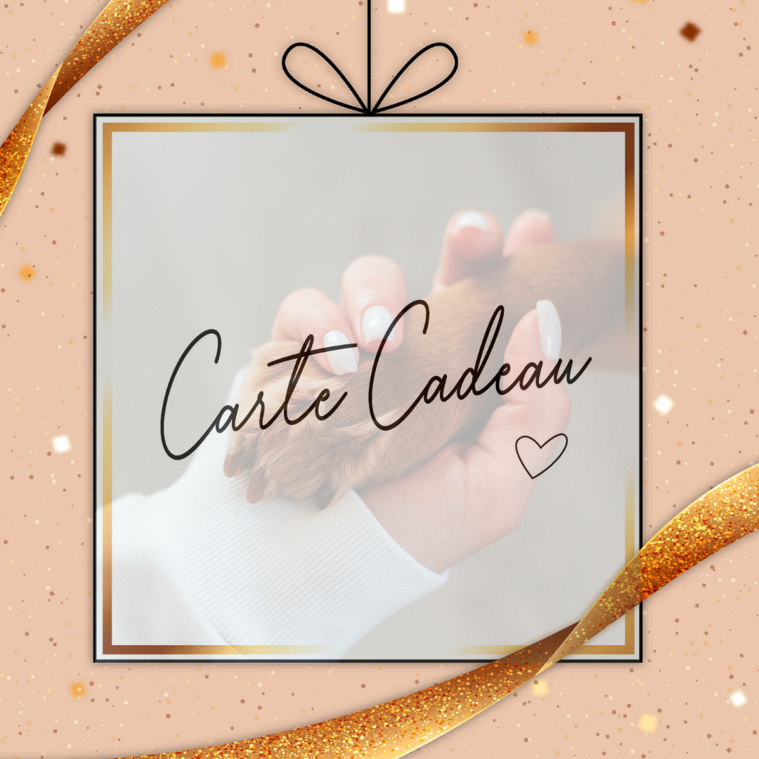 CARTE-CADEAU