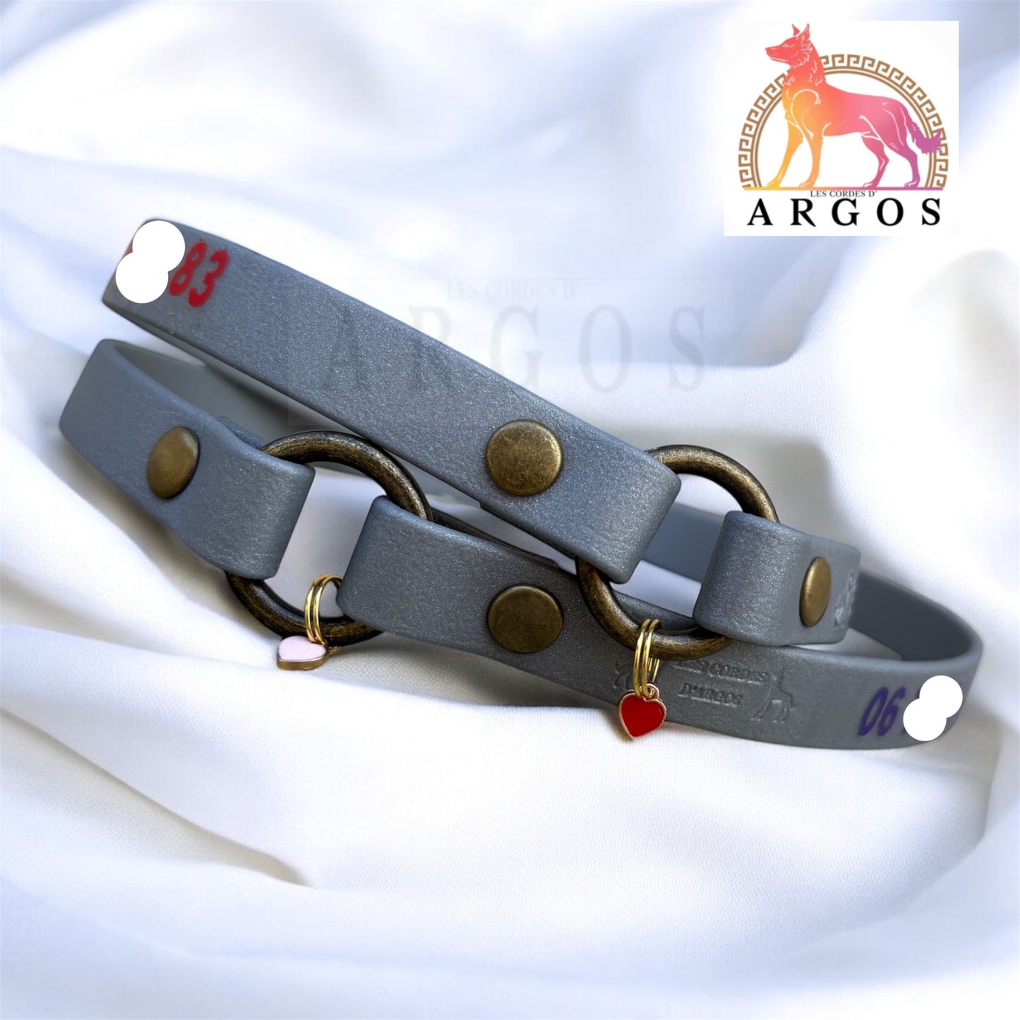 Collier d'identification / Porte Médaille