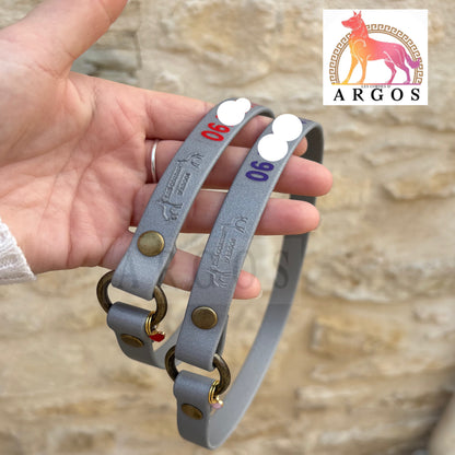 Collier d'identification / Porte Médaille