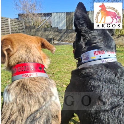 Collier d'identification / Porte Médaille