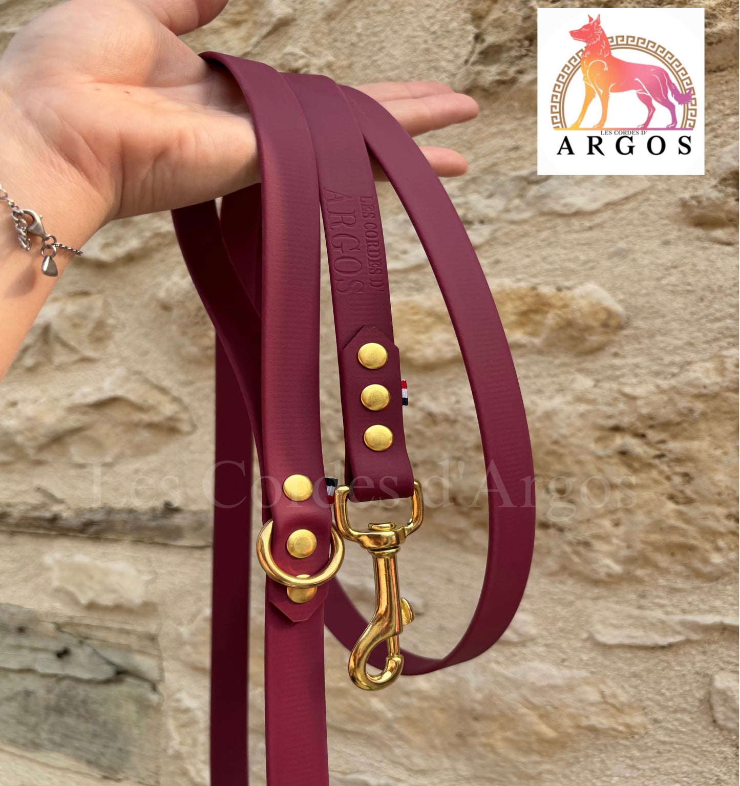 LAISSE BIOTHANE® 19mm