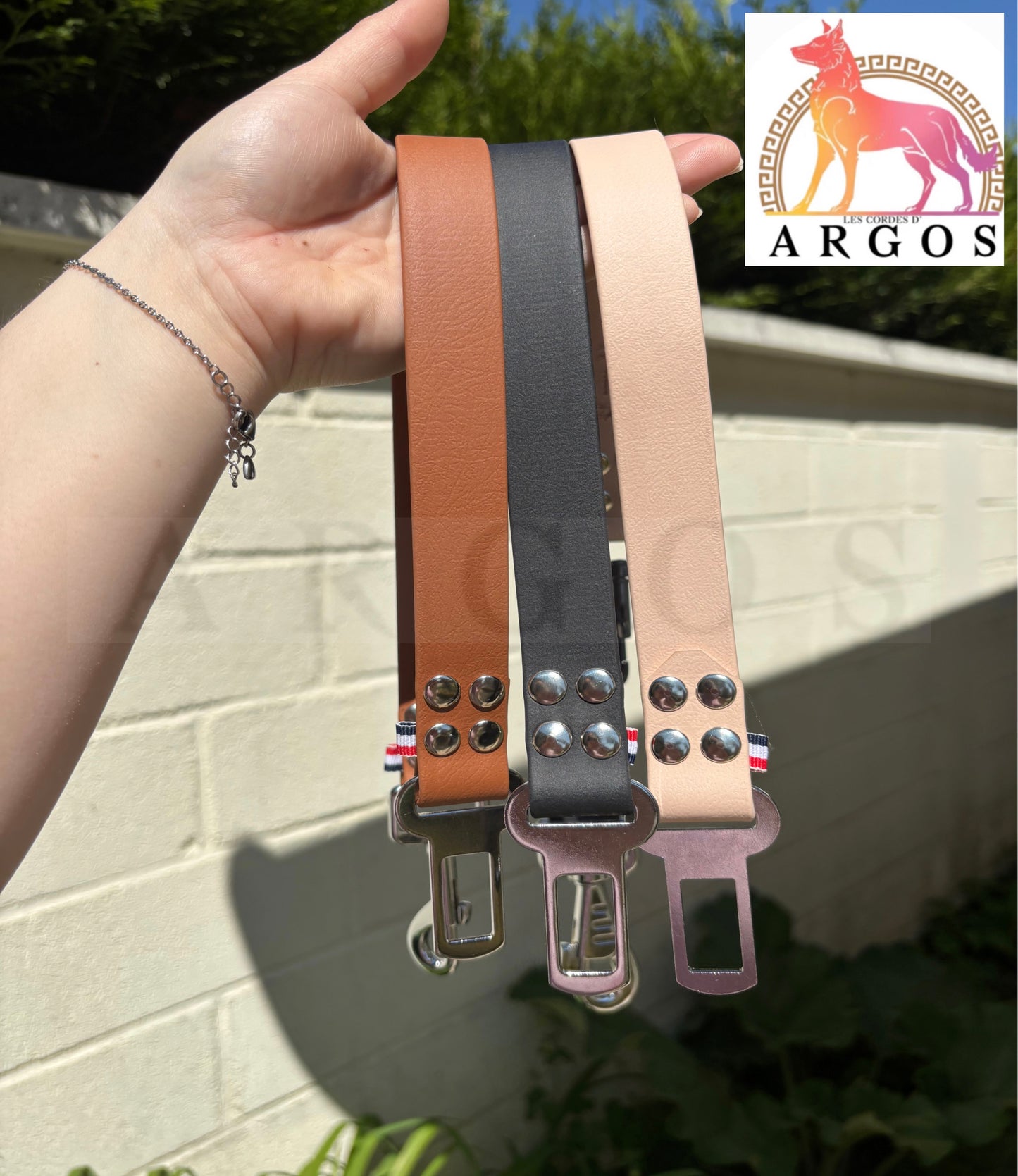 CEINTURE DE SÉCURITÉ