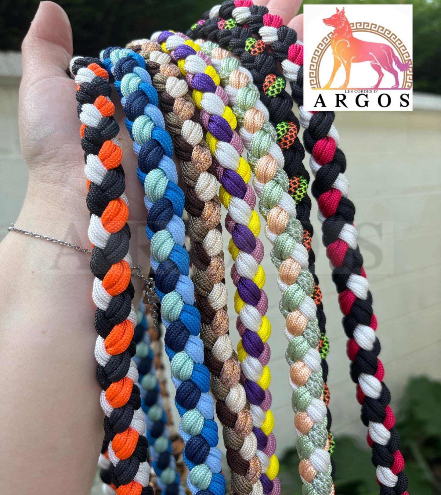 LAISSE PARACORDE HÉRA