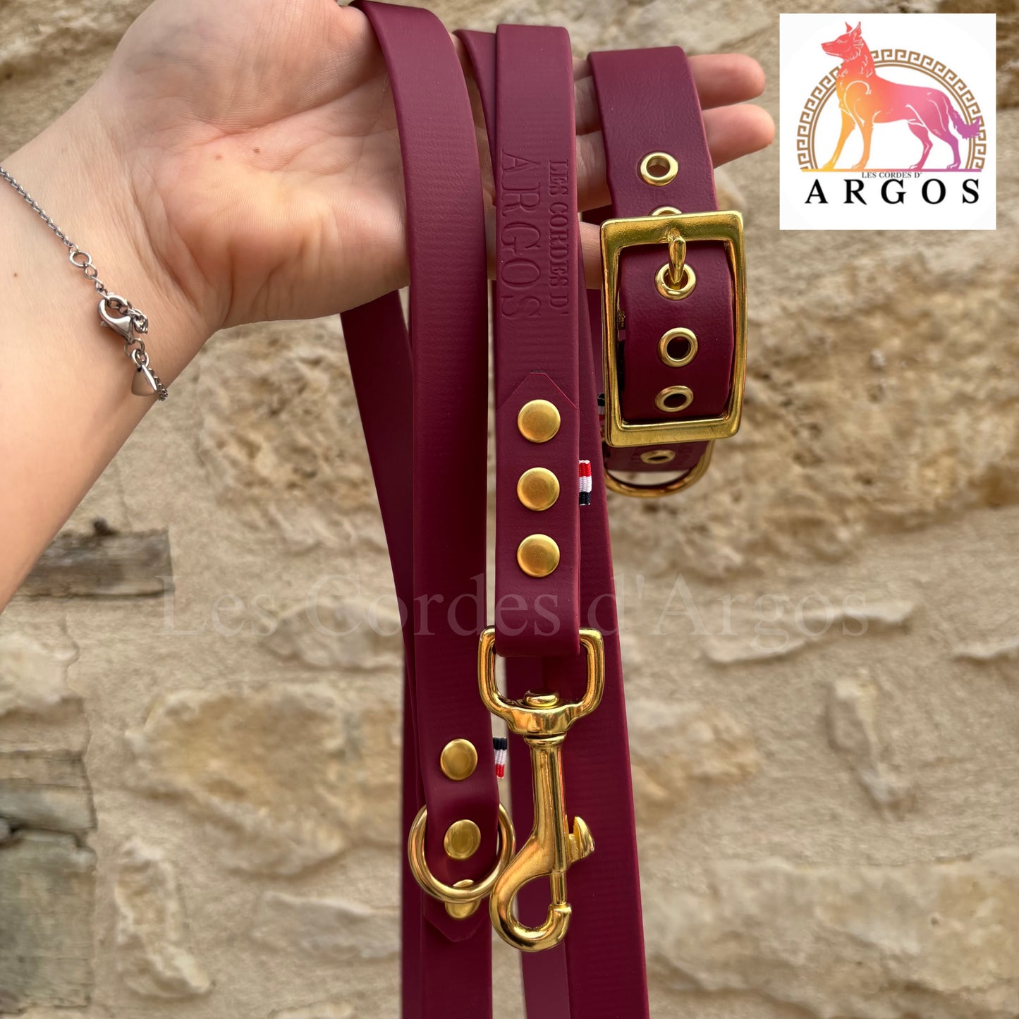 ENSEMBLE MAYVE & LAISSE BIOTHANE®