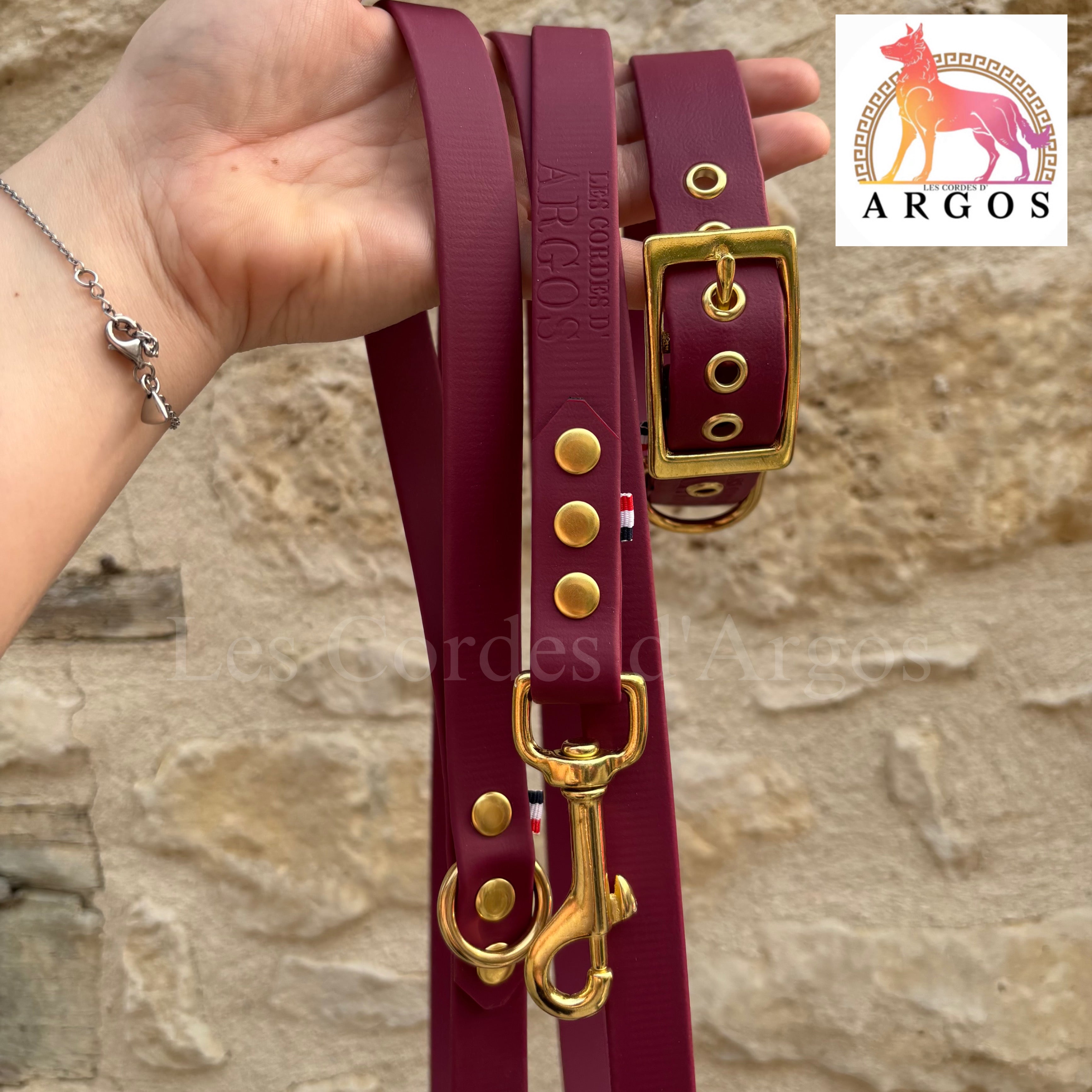 ENSEMBLE : COLLIER MAYVE & LAISSE BIOTHANE®