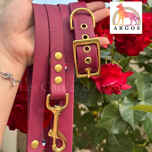 ENSEMBLE : COLLIER MAYVE & LAISSE BIOTHANE®