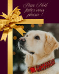 CARTE-CADEAU