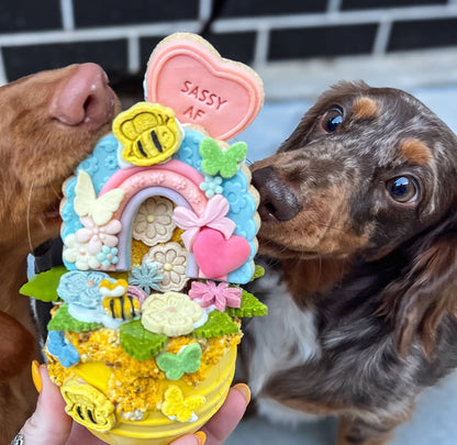 Jouet d'occupation -PUP-X Honey Pot -Taille L -Soda Pup