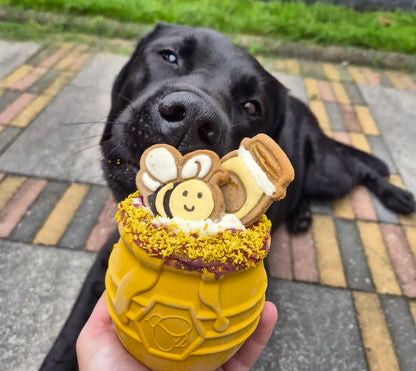 Jouet d'occupation -PUP-X Honey Pot -Taille L -Soda Pup