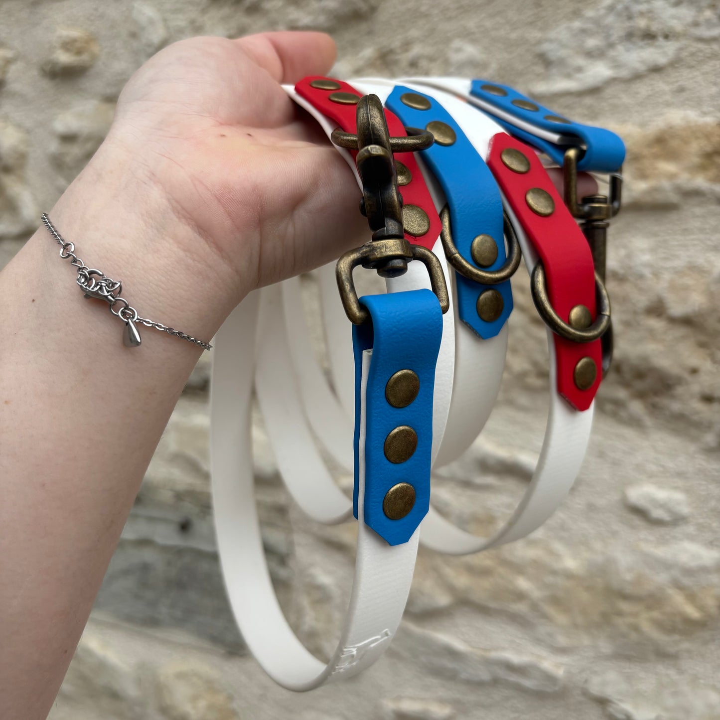 Laisse Multipositions 2m