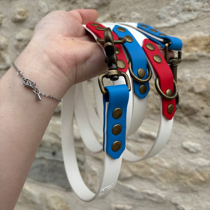 Laisse Multipositions 2m