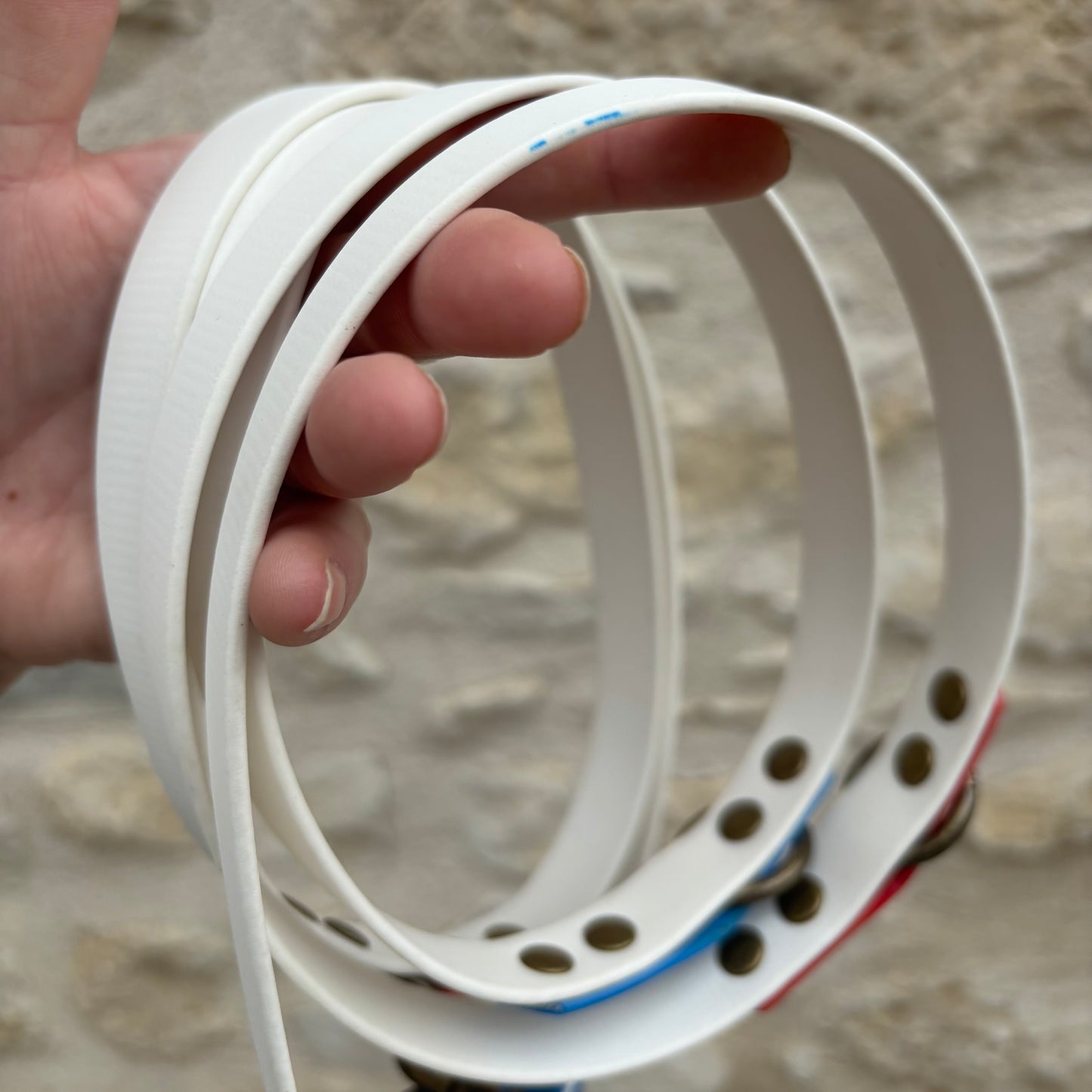 Laisse Multipositions 2m