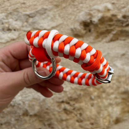 Collier PUPPY (chiot)